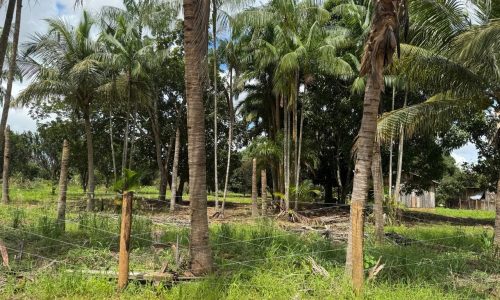 WhatsApp Image 2025-04-30 at 18.25.38 (1)