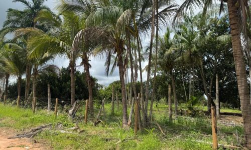 WhatsApp Image 2025-04-30 at 18.25.38