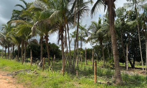 WhatsApp Image 2025-04-30 at 18.25.39