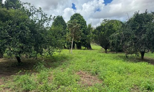 WhatsApp Image 2025-04-30 at 18.25.40 (1)