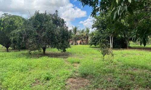 WhatsApp Image 2025-04-30 at 18.25.40 (3)