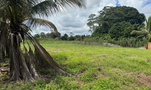 WhatsApp Image 2025-04-30 at 18.25.40