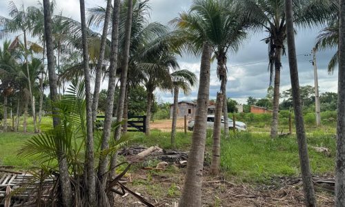 WhatsApp Image 2025-04-30 at 18.25.41 (2)