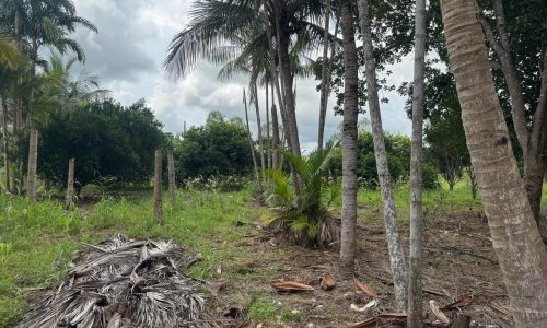 WhatsApp Image 2025-04-30 at 18.25.42 (2)