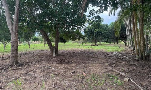 WhatsApp Image 2025-04-30 at 18.25.42