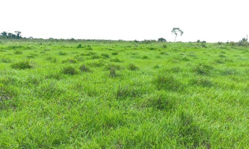 WhatsApp Image 2025-05-21 at 09.11.23