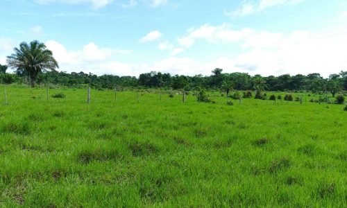 WhatsApp Image 2025-05-21 at 09.11.35 (1)