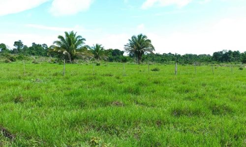 WhatsApp Image 2025-05-21 at 09.11.35