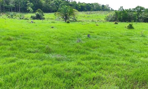 WhatsApp Image 2025-05-21 at 09.11.36