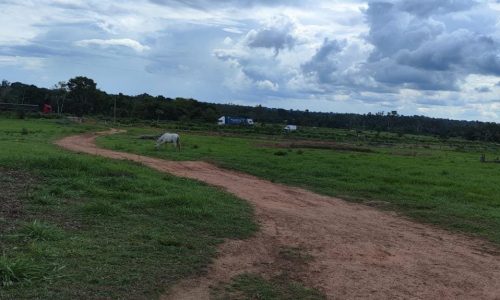 WhatsApp Image 2025-05-21 at 09.11.37 (2)