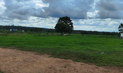 WhatsApp Image 2025-05-21 at 09.11.37 (3)