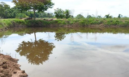 WhatsApp Image 2025-05-21 at 09.11.37