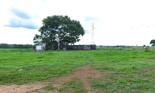 WhatsApp Image 2025-05-21 at 09.11.38