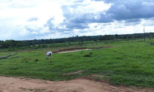 WhatsApp Image 2025-05-21 at 09.11.39