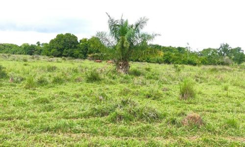 WhatsApp Image 2025-05-21 at 09.11.40