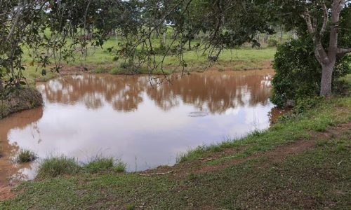 WhatsApp Image 2025-05-21 at 09.11.41 (1)