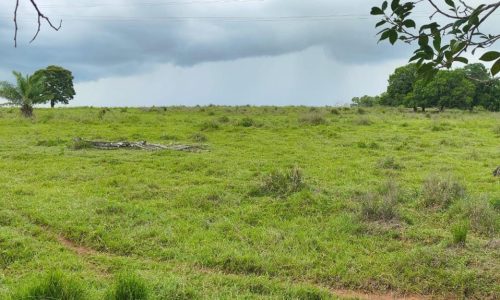 WhatsApp Image 2025-05-21 at 09.11.41 (2)