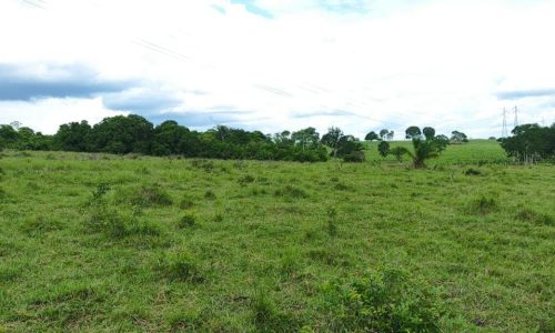 WhatsApp Image 2025-05-21 at 09.11.41