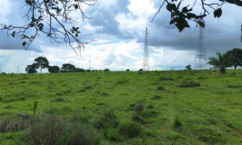 WhatsApp Image 2025-05-21 at 09.11.42 (1)