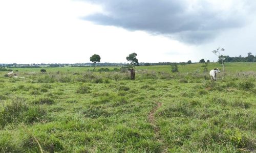 WhatsApp Image 2025-05-21 at 09.11.42 (2)