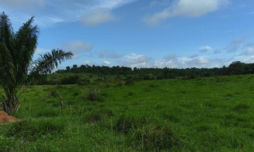 WhatsApp Image 2025-05-21 at 09.11.43