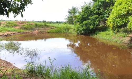 WhatsApp Image 2025-05-21 at 09.11.46 (1)