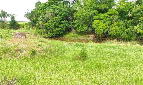 WhatsApp Image 2025-05-21 at 09.11.46